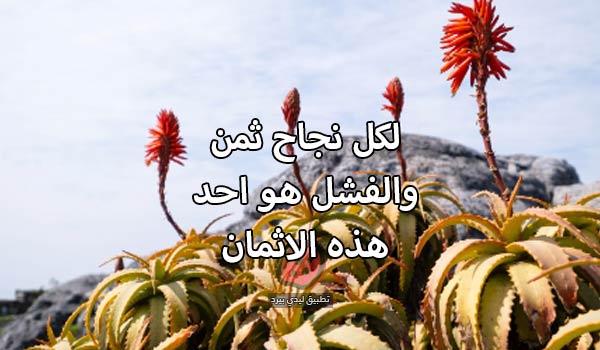 النجاح بعد الفشل