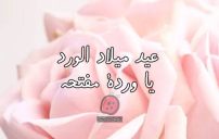 عيد ميلاد ابني الغالي فيس بوك