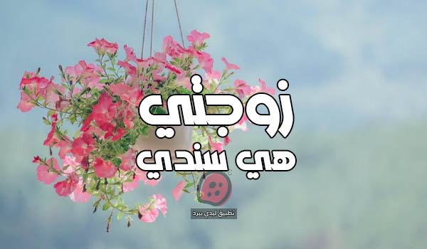 عبارات زوجتي هي سندي