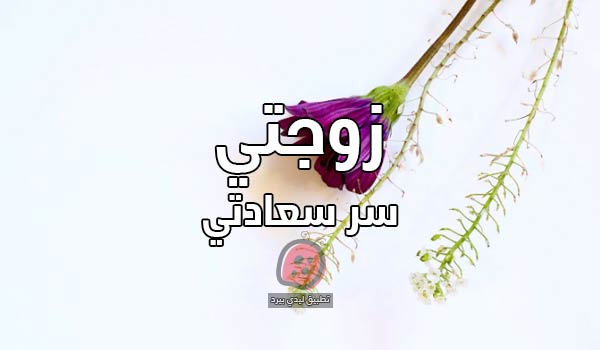 كلمات تسعد الزوجة