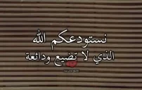 شكر ووداع زملاء العمل