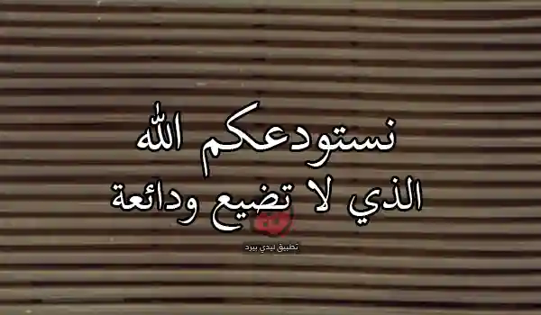 شكر ووداع زملاء العمل