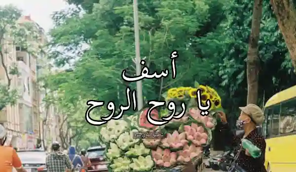 تسامح للمتزوجين