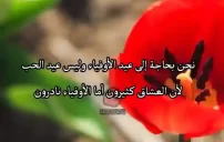 عبارات عن عيد الحب