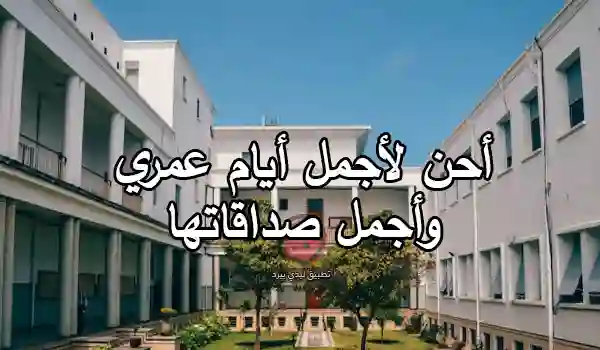 صورة كلام عن أصدقاء الدراسة