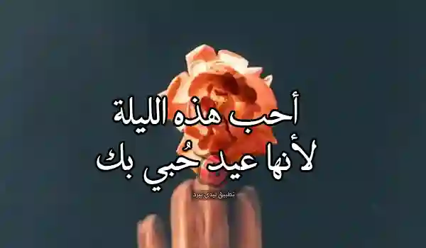 عيد الحب في الليل