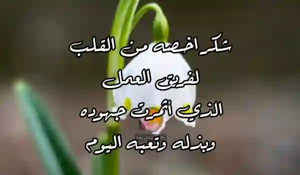 صورة كلمة شكر لفريق العمل