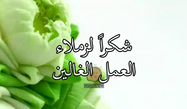 شكر زملاء العمل