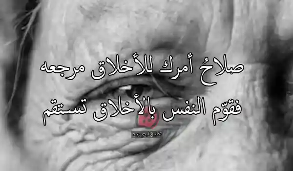 صورة مقال أجمل أبيات الشعر الفصيح