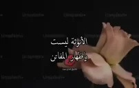 صورة مقال كلام عن حياء المرأة