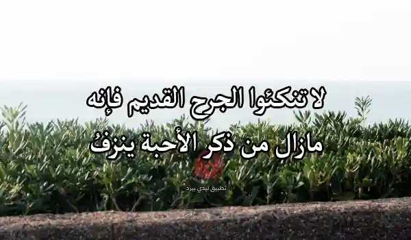 شعر عن الجرح من أقرب الناس