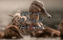 صورة مقال كلام عن السند الحقيقي