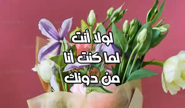 عبارات مدح لولا أنت لما كنت أنا من دونك