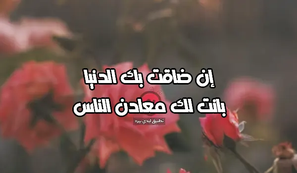 صورة مقال أجمل ما قيل عن الناس المعادن