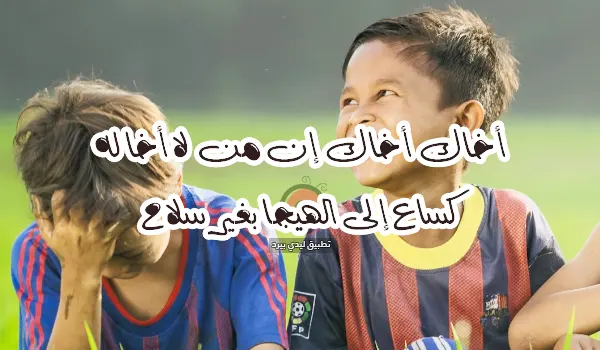 شعر عن الأخ