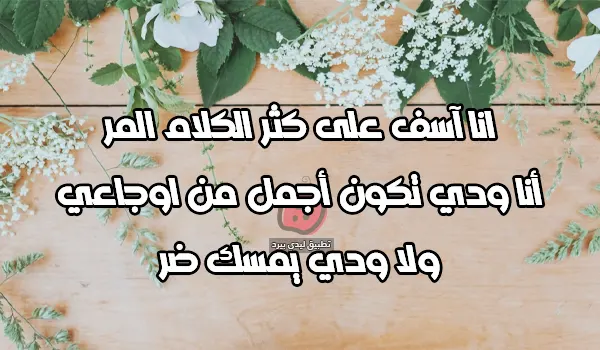 كلام اعتذار لمن تحبه