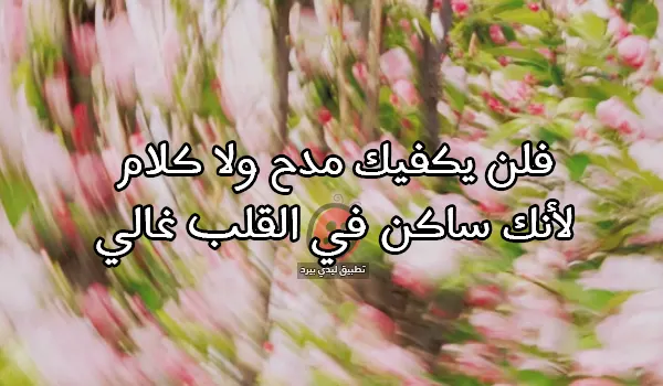 كلام مدح قصير