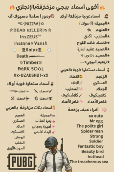 أسماء ببجي مزخرفة 